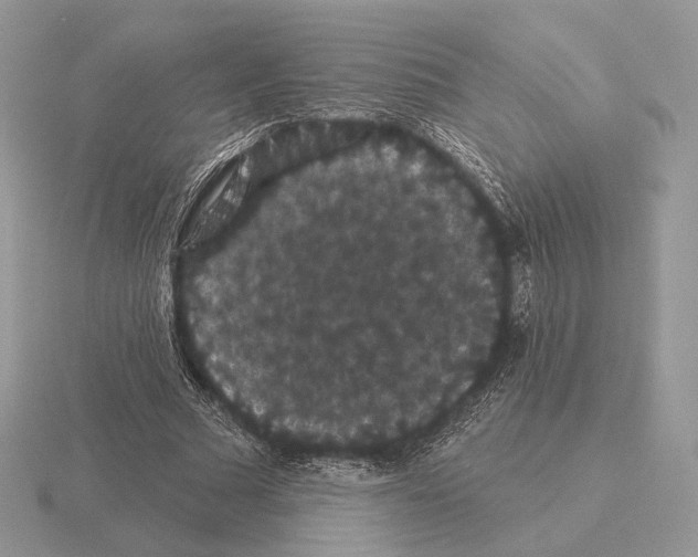 X0000115320681200912141158