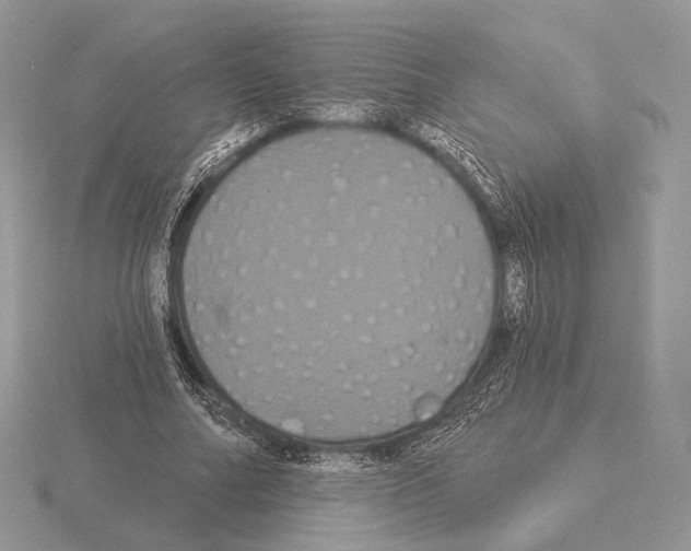 X0000115320682200912141158