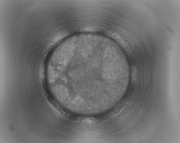 X0000115320683200912141158