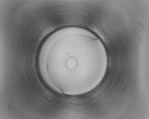 X0000115320685200912141158