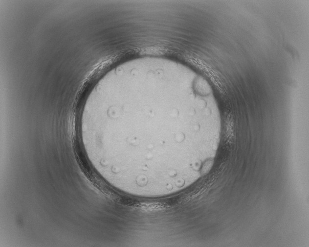 X0000115320686200912141158