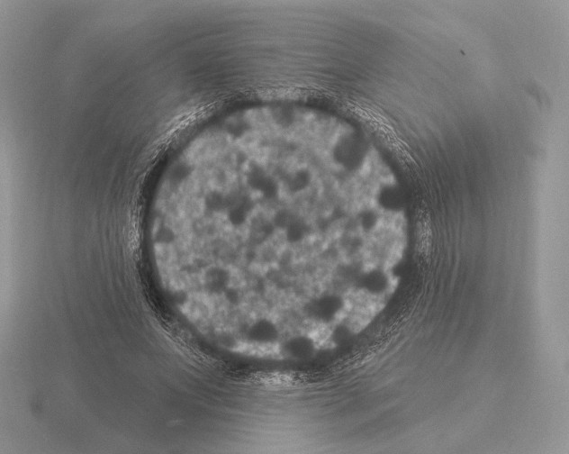 X0000115320687200912141158