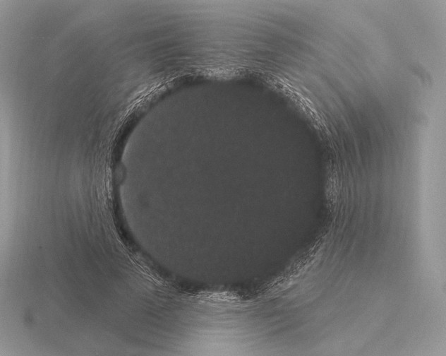 X0000115320689200912141158