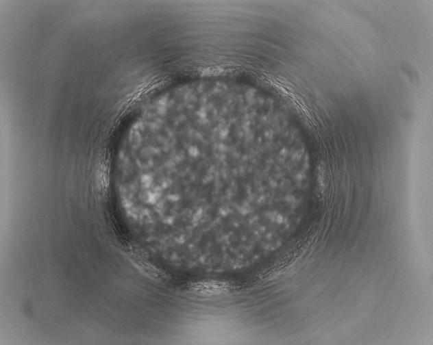 X0000115320691200912141158