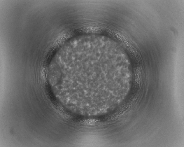 X0000115320695200912141158