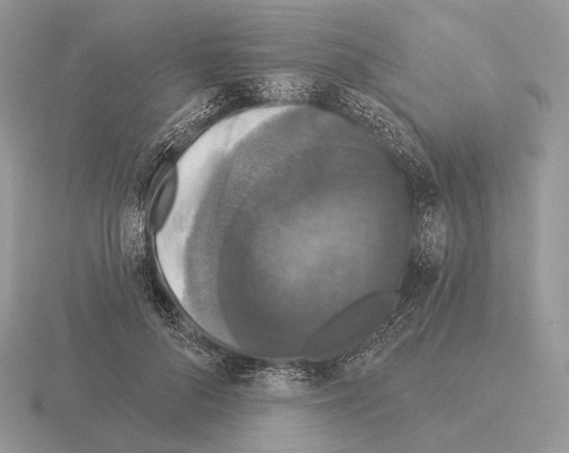 X0000115320696200912141158