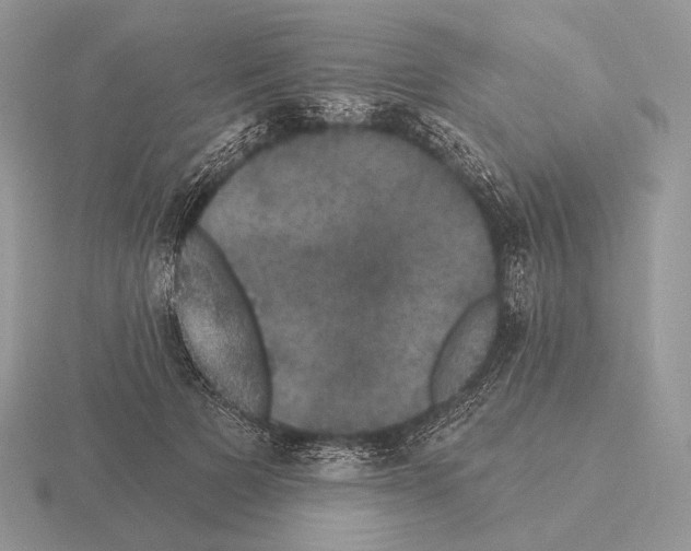 X0000115320697200912141158