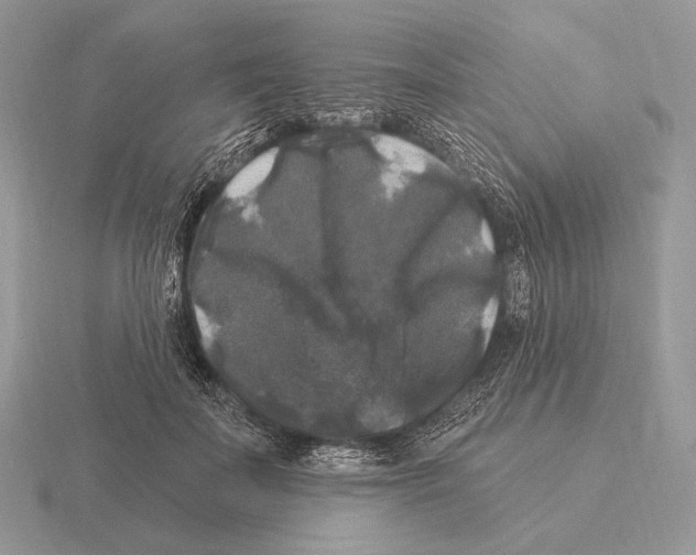 X0000115320699200912141158