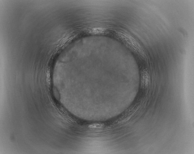 X0000115320700200912141158