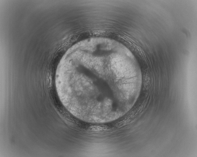 X0000115320703200912141158