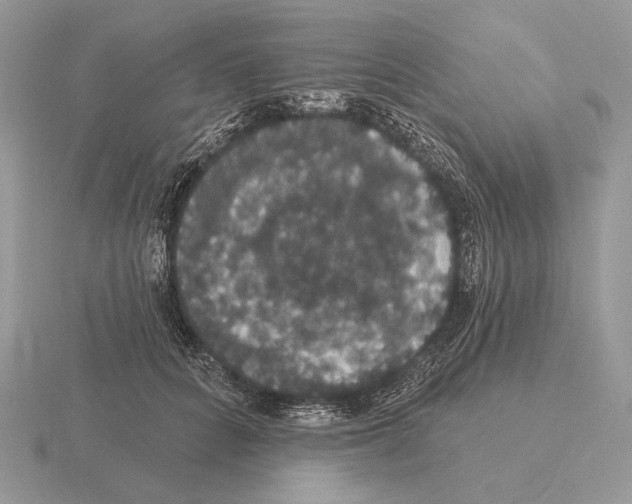 X0000115320704200912141158