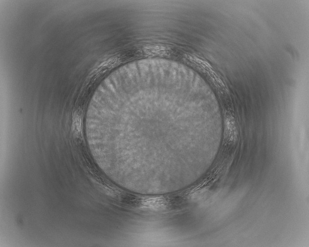 X0000115320705200912141158