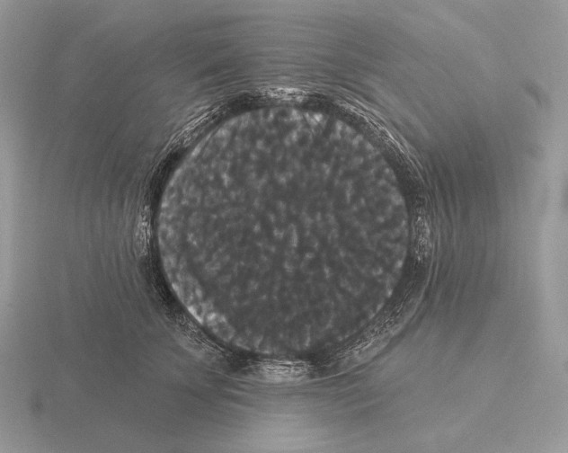 X0000115320707200912141158