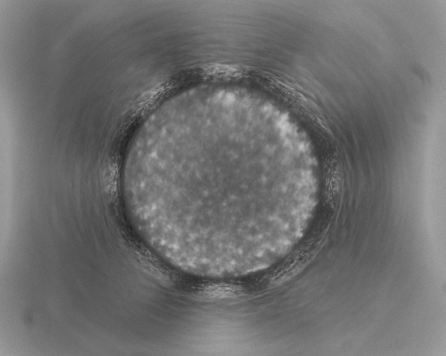 X0000115320708200912141158