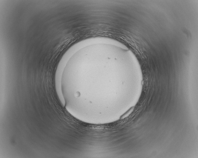 X0000115320709200912141158