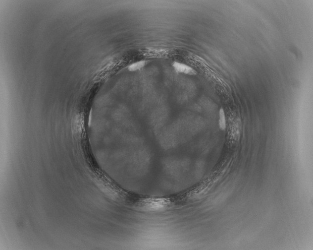 X0000115320711200912141158