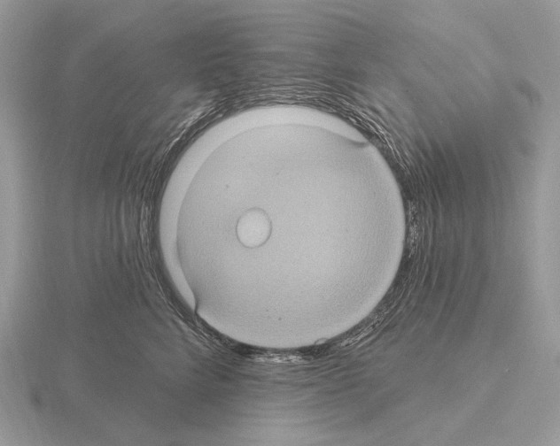 X0000115320712200912141158