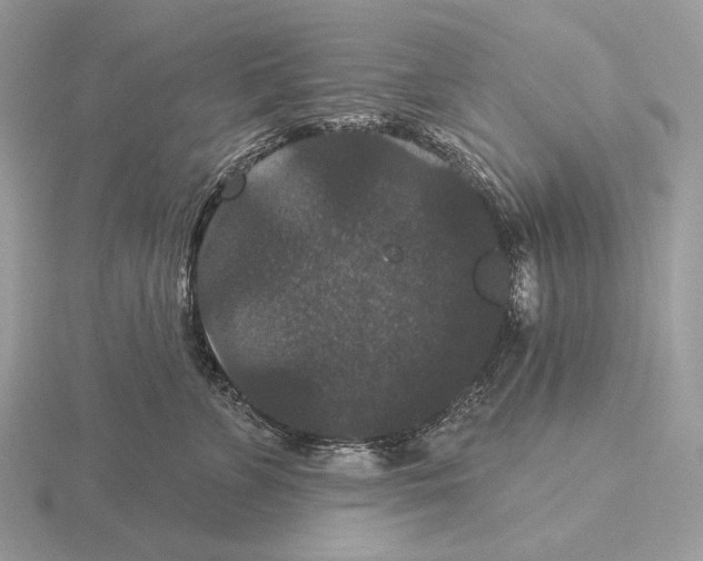 X0000115320715200912141158