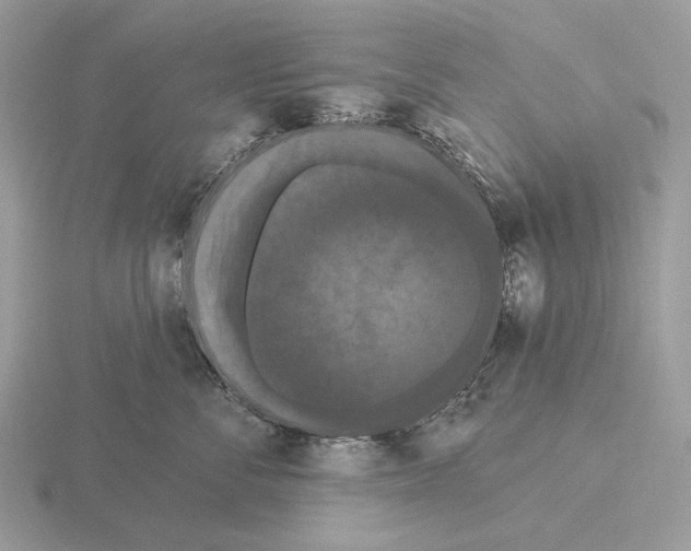 X0000115320716200912141158