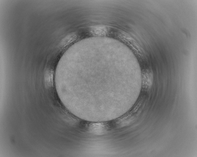 X0000115320717200912141158