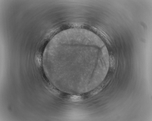 X0000115320718200912141158