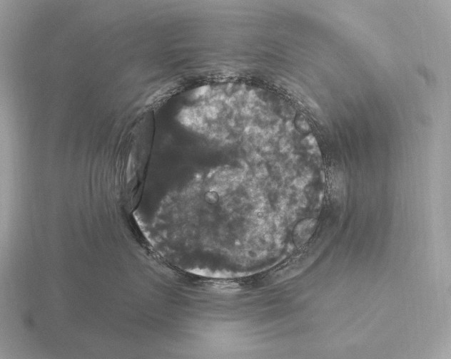 X0000115320719200912141158