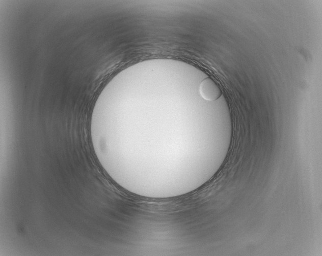 X0000115320720200912141158