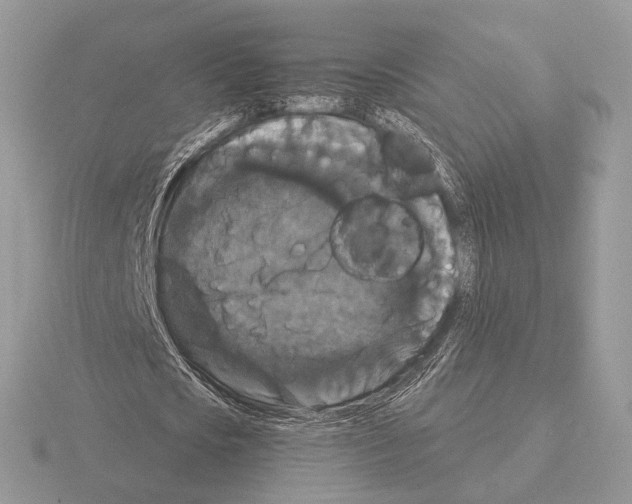 X0000115320721200912141157