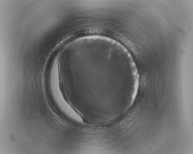 X0000115320722200912141157