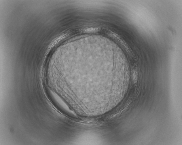 X0000115320725200912141157