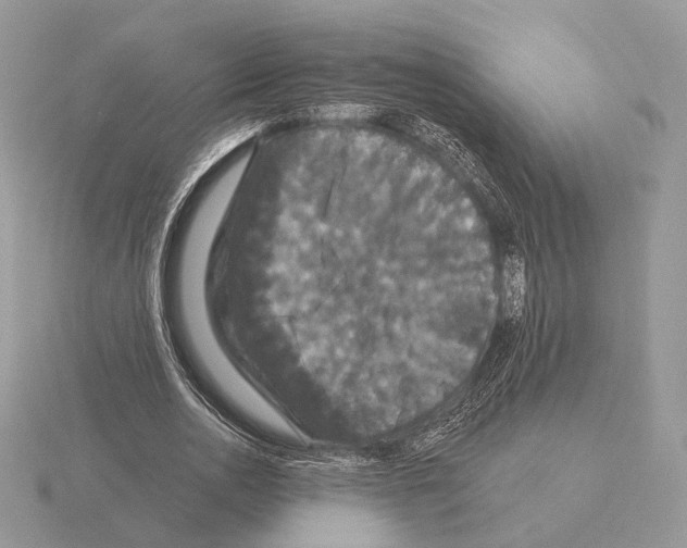 X0000115320726200912141157