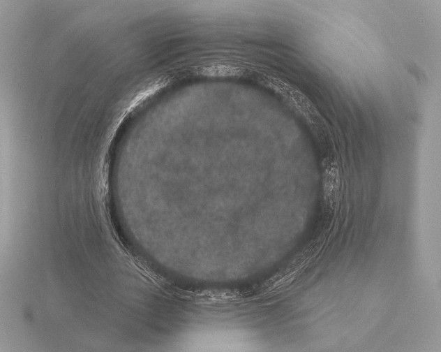 X0000115320727200912141157