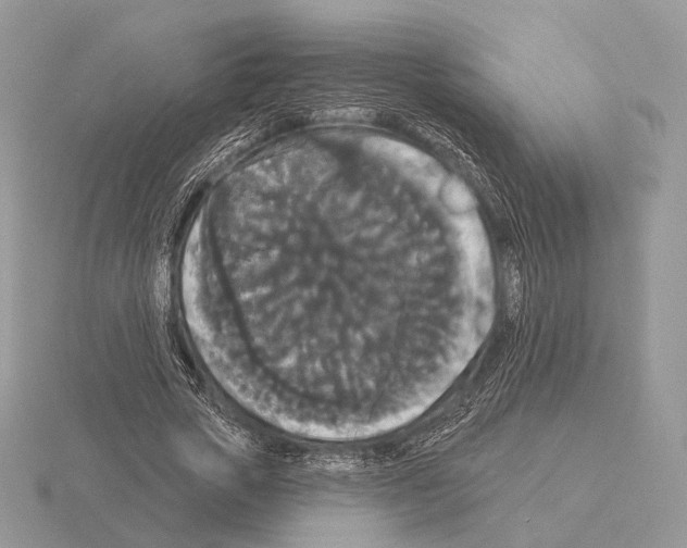 X0000115320729200912141157