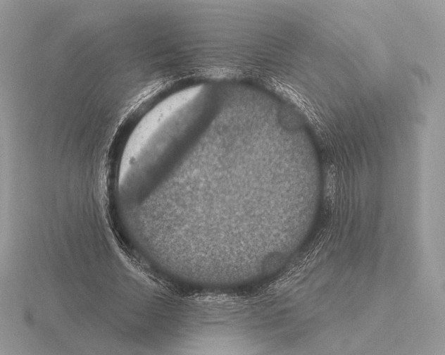 X0000115320730200912141157