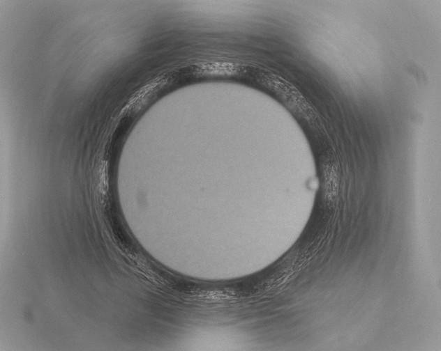 X0000115320731200912141157