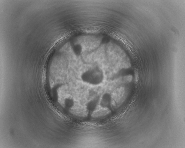 X0000115320733200912141157