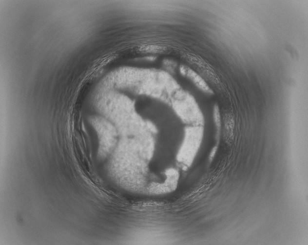 X0000115320734200912141157