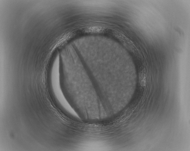 X0000115320735200912141157