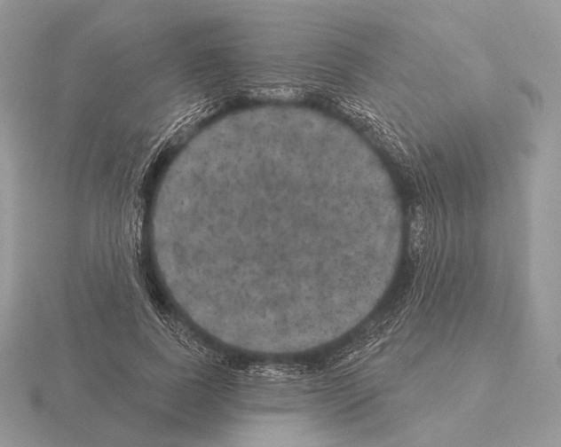 X0000115320739200912141157