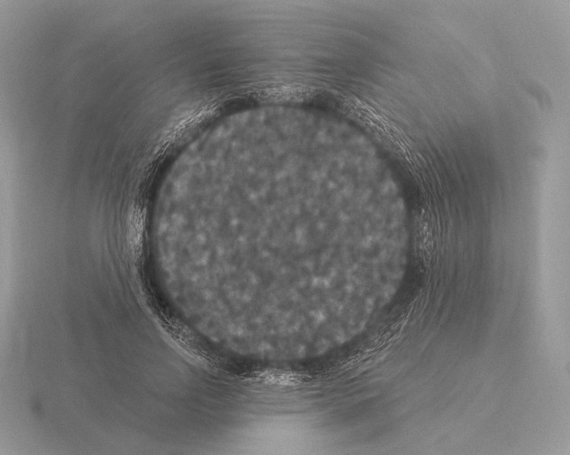 X0000115320742200912141157