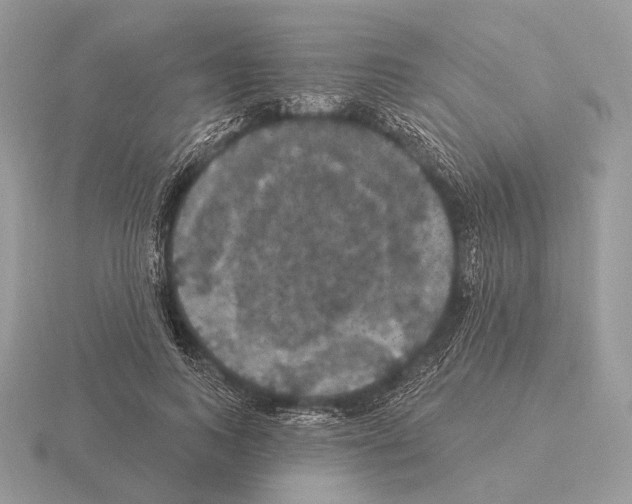 X0000115320743200912141157