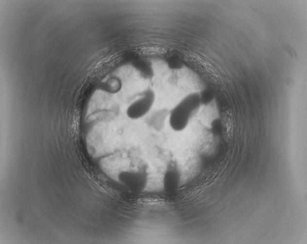 X0000115320745200912141157