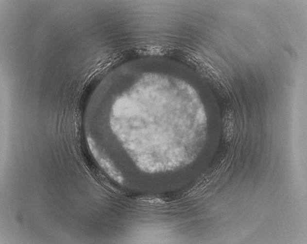 X0000115320747200912141157