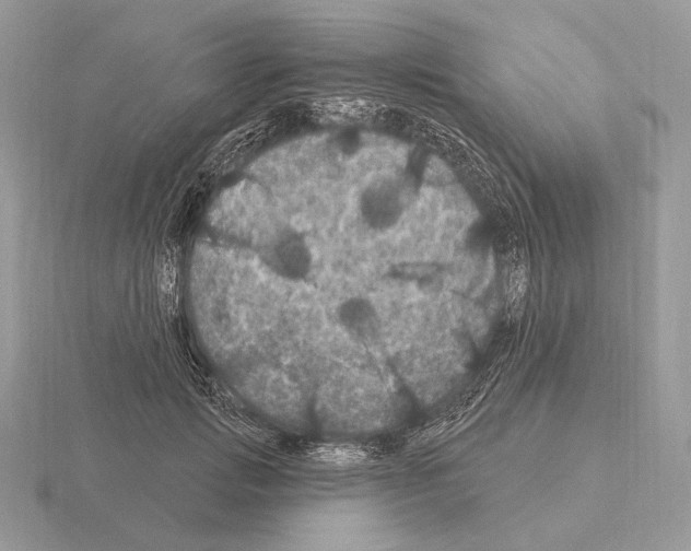 X0000115320749200912141158