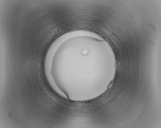 X0000115320750200912141158