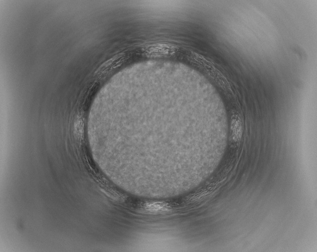 X0000115320753200912141158