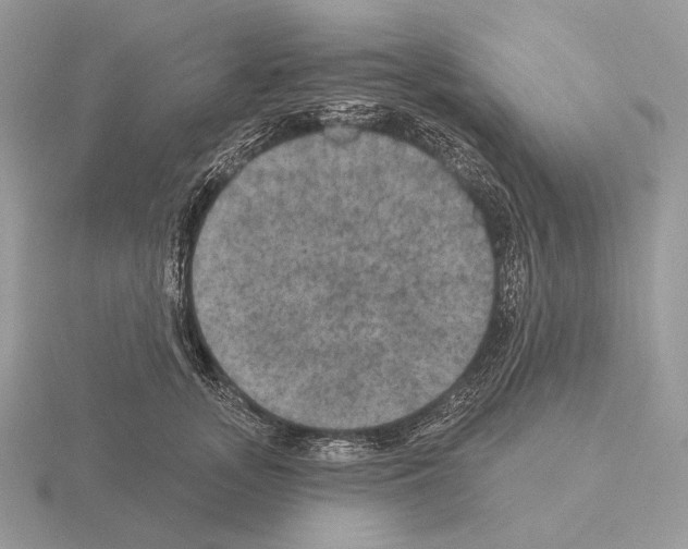 X0000115320755200912141158