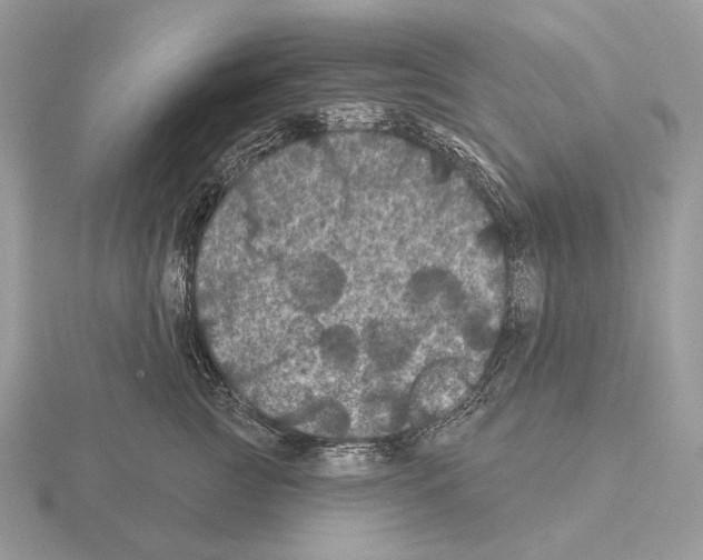 X0000115320761200912141158