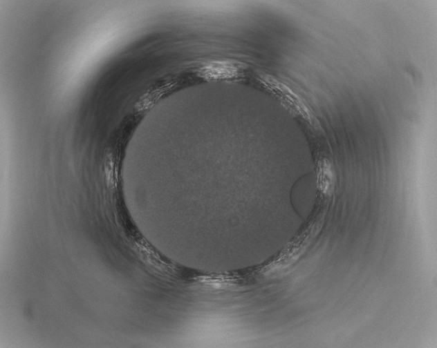 X0000115320763200912141158