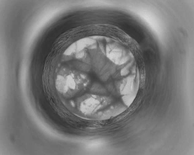 X0000115320765200912141158